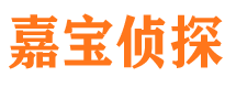 运河市私家侦探